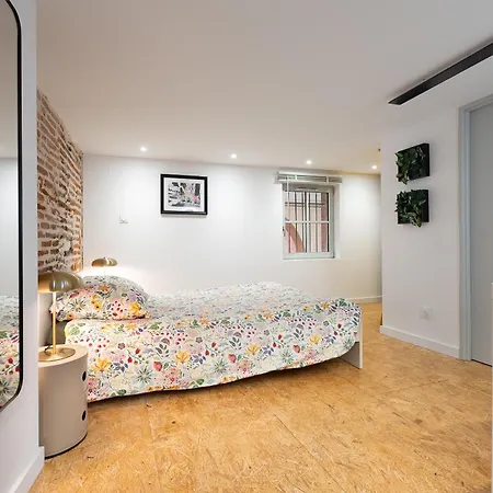 Apartamento Duplex De Charme Capitole - Emplacement Excellent